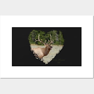 Rocky Mountain Elk - Heart Shape Posters and Art